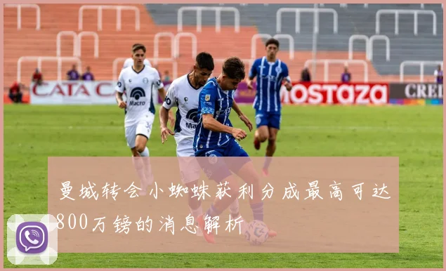 曼城转会小蜘蛛获利分成最高可达800万镑的消息解析
